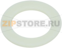 FLAT GASKET ED Ø 29MM ID Ø 19MM THICKNES