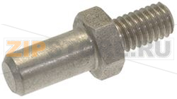 DOOR HINGE PIN ø 7 mm 