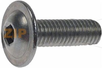 MLF screw  M5x15 A2
