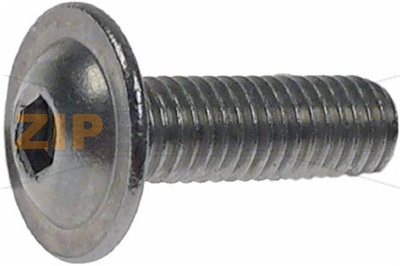 MLF screw  M5x15 A2 
