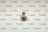 PRIGIONIERO VIT503.01010