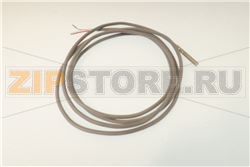 PROBE LAE PTC 2000 mm 