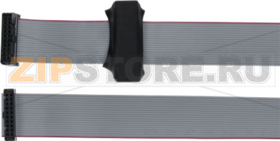 Cable+Ferrite Display Classe 9 Usb 