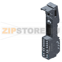 SIMATIC ET 200SP, БАЗОВЫЙ БЛОК BU20-P12+A4+0B, ТИП B0, УПАКОВКА ПО 10 ШТ., КЛЕММЫ PUSH-IN, 4 ДОП. КЛЕММЫ, ПОДКЛЮЧЕНИЕ К СУЩ. НАГРУЗОЧНОЙ ГРУППЕ (БАЗОВОГО БЛОКА СЛЕВА), ШXВ: 20ММX117ММ Siemens 6ES7193-6BP20-2BB0
