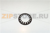 MOLLA TAZZA FESSURATA   29X17X0,35