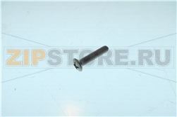 VITE INOX M4X20 TESTA X SVAS. BOMBATA 60 