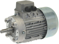 MOTORE 230V