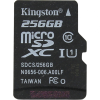 Карта памяти 256 Гб Kingston SDCS-256GBSP