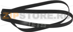 BELT HUTCHINSON 1221 H8 EL 