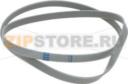 BELT POLY-V EL1225 H7 