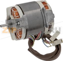 MOTOR FOR HOOD 