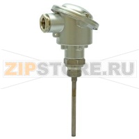 FT-TP/100 - Погружной датчик температуры 10 см, Pt100, прямое погружение Siemens FT-TP/100