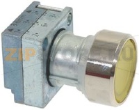 ОРАНЖЕВАЯ КНОПКА