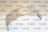 INTERRUTORE TIRAGGIO FUMI XVC314/514/71