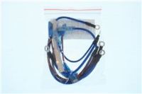 Thermal fuse wiring