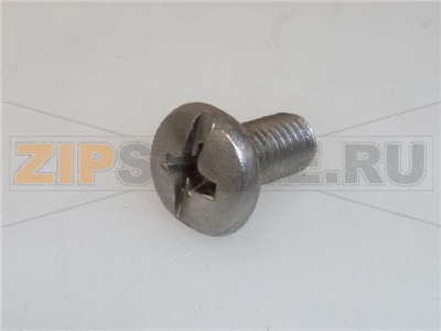 VITE A TESTA CILINDRICA M5x10 