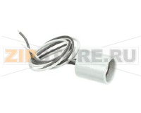 LAMP HOLDER,END,24 LEADS,200C