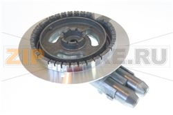 ASS.BRUC.D.C./ACC.SIC. 