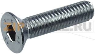 VITE A TESTA SVASATA PIANA M6x20 