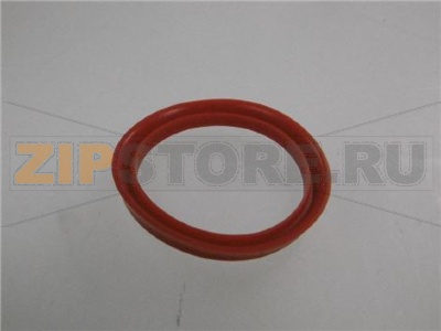 GUARNIZIONE CAMERA INFUSIONE 