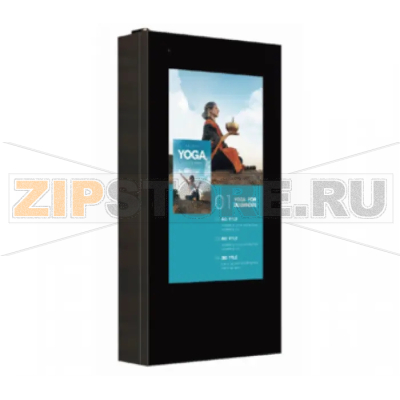 Монитор Dahua DH-LDH43-HAO200 