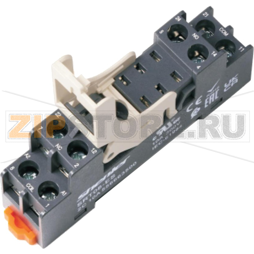 Розетка с фиксатором для 2 контактных реле RFT, 10A Shenler SRT08-ES+SR20L 