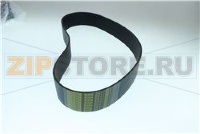 BELT POLY V 914 J36 20N