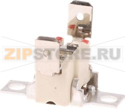 SAFETY THERMOSTAT 110° BOSCH 00420753 