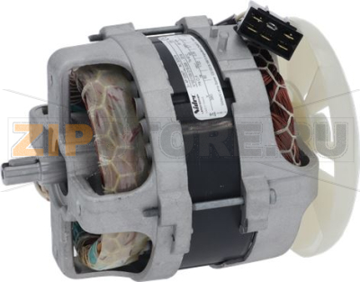 MOTOR CL50D 380/60/3 