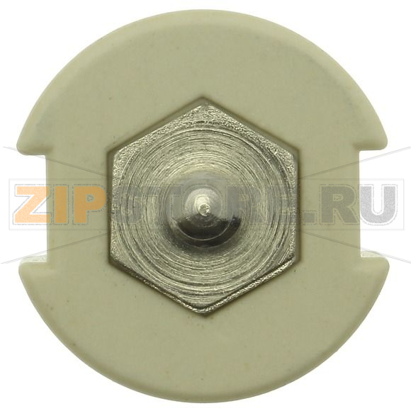 Контактный винт, 20 A, AC 500 В, D2, IEC, с цветовым кодом Eaton GAUGE PIECE D2 20A 500V FOR E27 