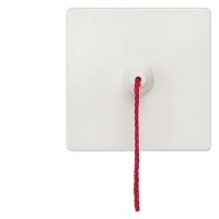 DELTA I-SYSTEM ТИТАНОВО-БЕЛЫЙ ВЫКЛЮЧАТЕЛЬ 1 КЛАВИША ВЕРЕВОЧНЫМ ПРИВОДОМ 55X55MM Siemens 5TG6217