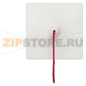 DELTA I-SYSTEM ТИТАНОВО-БЕЛЫЙ ВЫКЛЮЧАТЕЛЬ 1 КЛАВИША ВЕРЕВОЧНЫМ ПРИВОДОМ 55X55MM Siemens 5TG6217 