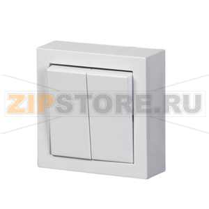 Выключатель двухклавишный, монтаж: накладной, белый ABB 2TKA00001598 