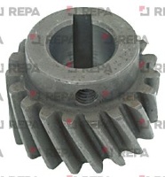 ШЕСТЕРНЯ НОВОГО ТИПА МОДЕЛЬ 22 19-ЗУБЧАТ