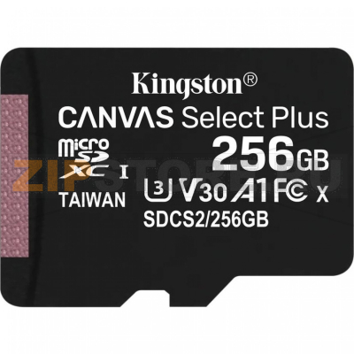 Карта памяти 256 Гб Kingston SDCS2-256GB 
