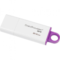 Накопитель USB 64 Гб Kingston DTIG4-64GB-YAN