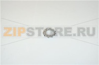 RONDELLE EVENTAIL AZ 5