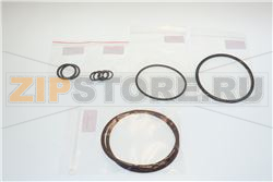 SERIE ANELLI OR 