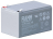 FIAMM 12FGHL48
