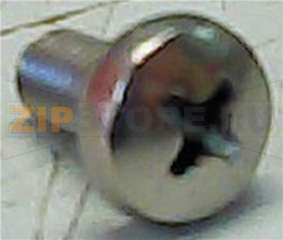 TORN.ALOM.M5X10 DIN7985 INOX 