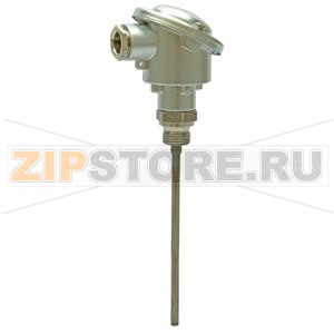 FT-TP/400 - Погружной датчик температуры 40 см, Pt100, прямое погружение Siemens FT-TP/400 