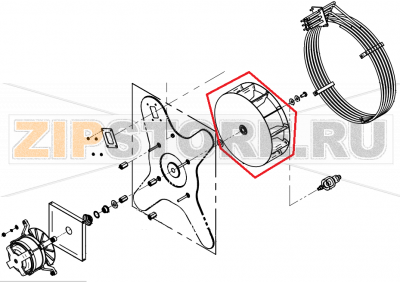 Fan wheel Ø 350x110 P3 CONVOTHERM OES 10.10    Fan wheel Ø 350x110 P3 CONVOTHERM OES 10.10Запчасть на сборочном чертеже под номером: 442Название запчасти на английском&nbsp;языке: Fan wheel Ø 350x110 P3 CONVOTHERM OES 10.10