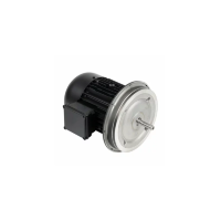 Электродвигатель 12 кВт, 2900 об/мин Weishaupt W-D132/210-2/12K0