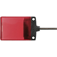 Лампочка светодиодная, красная, 1 шт IDEC LH1D-H2HQ4C30R