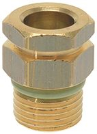 RACCORDO IN OTTONE 1/8 CON OR FKM