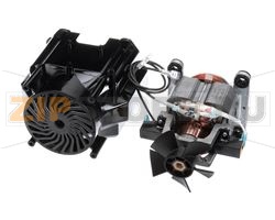 MOTOR, COMPLETE (230V ONLY) 