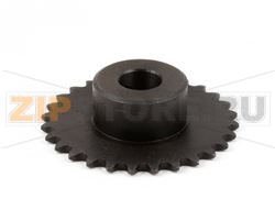 PIGNONE, 25B28, FORO DA 1/2 