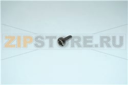 pck-torx10/ZG rvs A2 