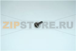 pck-torx10/ZG rvs A2 