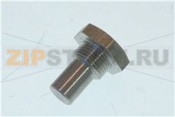 PERNO ROTAZIONE PORTA Sr X 120/220 